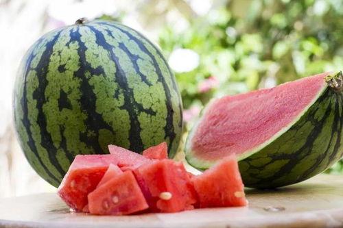 吃瓜会长一西瓜,一瓜长成西瓜的奇幻之旅