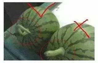 听听吃瓜的声音,揭秘网络热议背后的故事