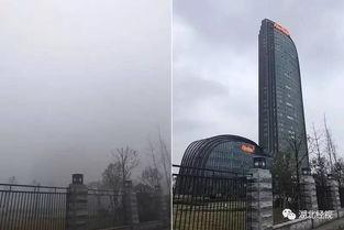 大夏吃瓜,揭秘娱乐圈的甜蜜与苦涩