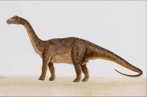 带你吃瓜填充恐龙,揭秘恐龙世界的奇妙食性