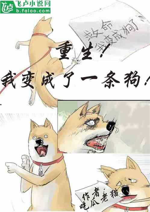 发疯吃瓜系统小说,穿越时空的美食冒险之旅