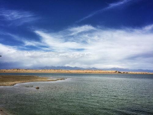 吃瓜拍照麦田,记录夏日田园美好时光