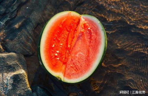 凉介吃瓜,揭秘娱乐圈背后的秘密与真相