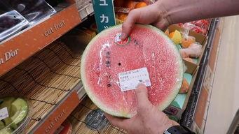 韩国群众吃瓜现场,群众围观，热议不断