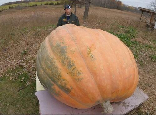 吃瓜吐嘈,吃瓜群众吐嘈风云录
