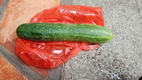 瓜可以吃不,美味尽享