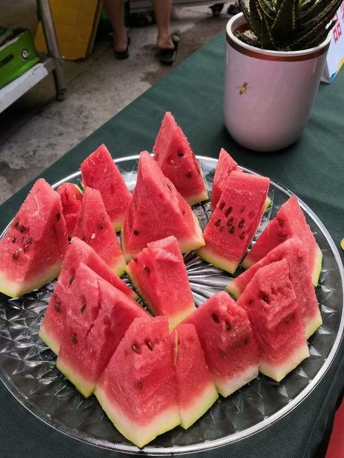 高闸吃瓜大赛,一场盛夏的吃瓜狂欢盛宴