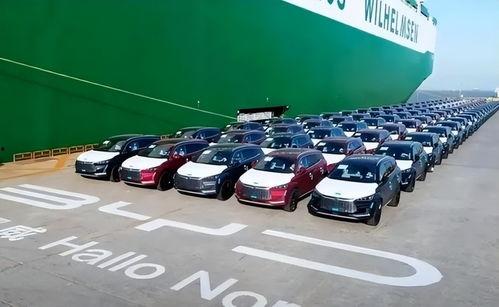 比亚迪7.98吃瓜视频,揭秘神秘事件背后的真相