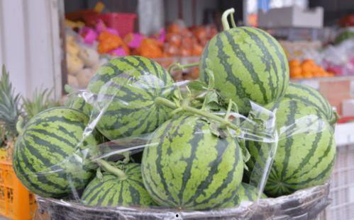 丹阳金鹰吃瓜事件,一场网络狂欢背后的真相与反思