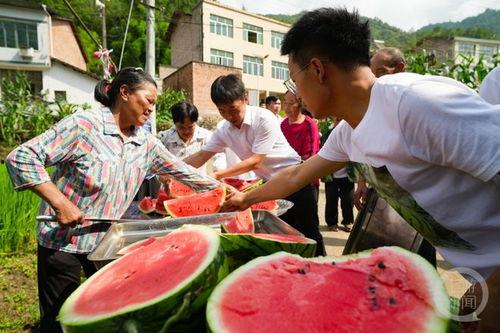 村委会吃瓜,欢乐共享乡村时光