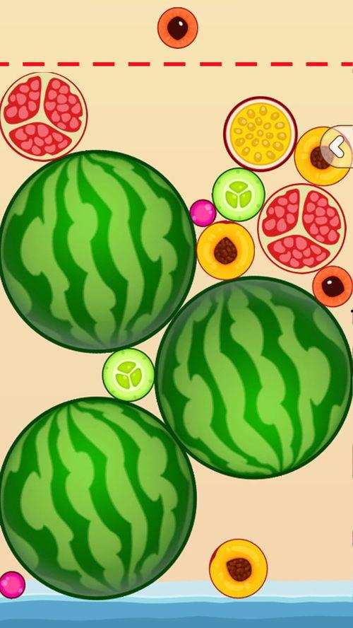 抖音瓜吃内脏,揭秘吃内脏的惊人真相与争议