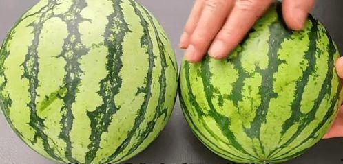 梦到吃瓜卖瓜,瓜田里的奇幻之旅