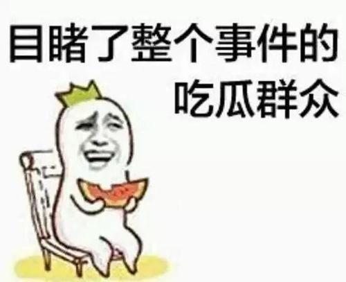 带你吃瓜奇葩沙发,沙发生态中的“吃瓜”奇观