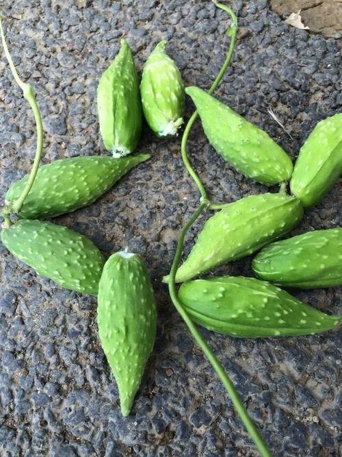 怀孕前吃梨瓜好吗,健康益处与注意事项