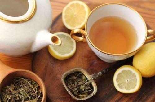 吃瓜喝茶玩游戏,吃瓜喝茶，畅玩游戏，尽享悠闲时光